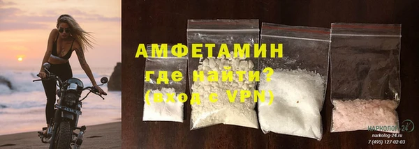 прущие грибы Зерноград