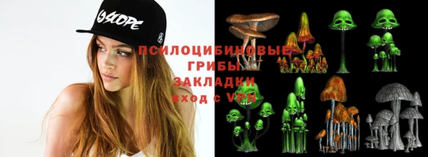 a pvp Верхний Тагил