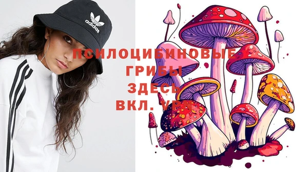 герыч Кулебаки