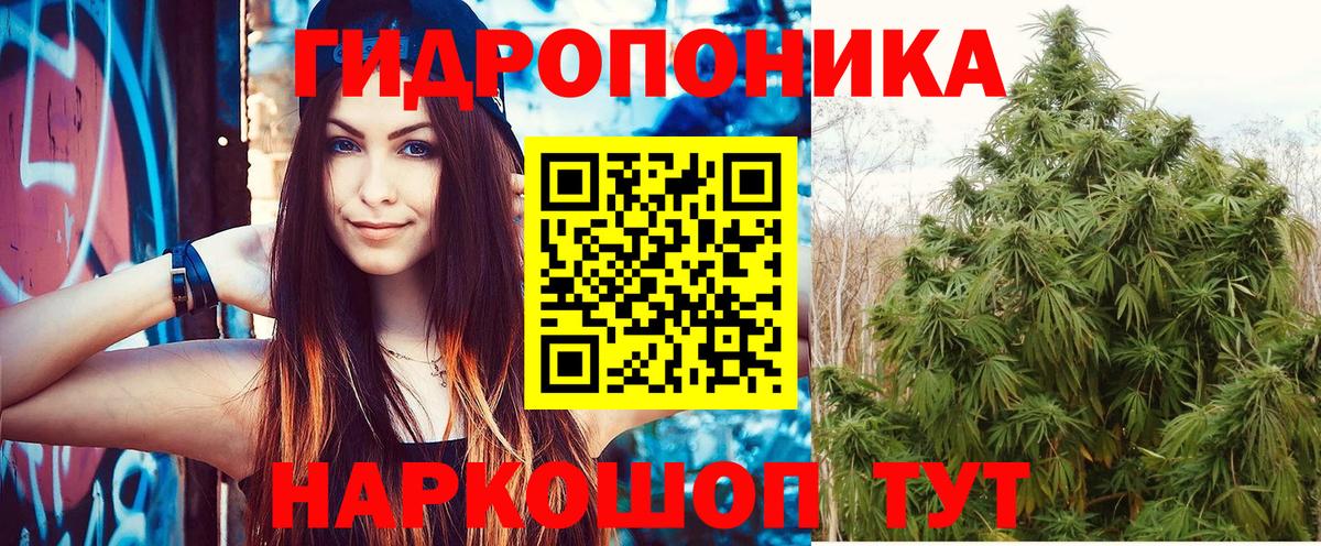 Каннабис сатива Великие Луки